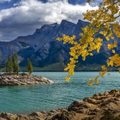 Discover the Majesty of Banff National Park: Your Comprehensive Guide