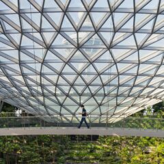 Navigating Singapore: Top Transportation Tips and Must-See Attractions