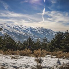 Unearthing History: Six Unforgettable Mine and Surface Tours in California