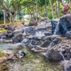 Oahu’s Unmissable Experiences: Top 3 Must-Do Activities in Hawaii