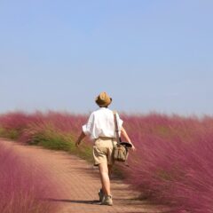 Solo Adventures: Top 10 Essential Tips for Traveling Alone Around the World