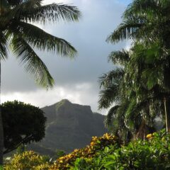 Maximizing Your Hawaiian Cruise: 6 Essential Tips for an Unforgettable Voyage