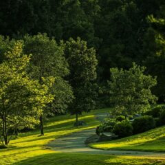 Virginia Is for Lovers: State Park Highlights