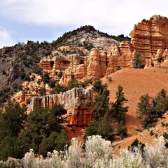 8 Compelling Reasons to Spend a Season Living and Working in Zion National Park