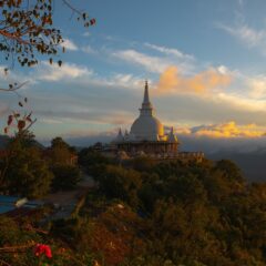 Discover Mirissa: 9 Must-Do Activities in Sri Lanka’s Coastal Gem