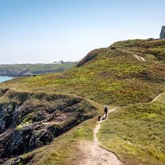 Top 10 Family-Friendly Hiking Trails in Aruba: A Nature Lover’s Guide