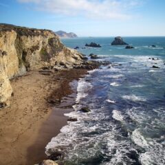 Maya Bay in Thailand: The Beach Is Open Again! (Phi Phi Leh)