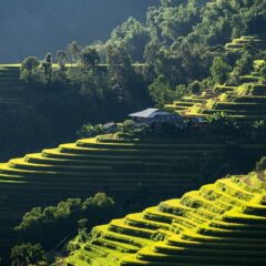 Exploring Dieng Plateau, Java: A Guide to Lakes, Sunrise Views, and Volcanoes