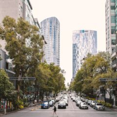 Discover the Heart of Mexico: 6 Must-Experience Activities in Mexico City