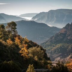 Exploring the Untamed Beauty of Yemen: A Unique Travel Journey