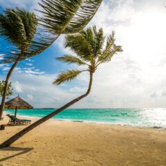 Discovering Fulidhoo Island: Your Ultimate Guide to Shark and Stingray Beach in the Maldives