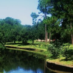 Hidden Gems and Iconic Spots: The Top 10 Must-See Places in Louisiana