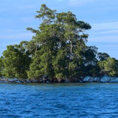 Explore the Undiscovered: 9 Essential Experiences in Timor-Leste