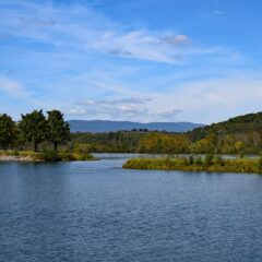 Discover the Top Experiences in Tennessee: Nature, Music, and History Await