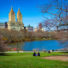 The Ultimate Adventure: Must-Do Experiences in the Big Apple