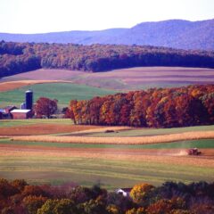 Autumn Adventures in Bedford County, Pennsylvania: Festivals, History, and Scenic Beauty