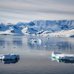 Your Ultimate Guide to Visiting Antarctica: Tips for an Unforgettable Adventure