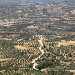Crete: Discover Greece’s Largest Island with History, Luxury, and Natural Wonders