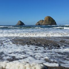 Puerto Vallarta Highlights: Unmissable Experiences in Mexico’s Coastal Gem