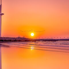 11 Unique and Exciting Things to Do in Dubai