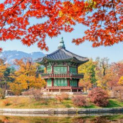 Top 11 Must-Do Adventures in South Korea: Your Ultimate Experience Guide