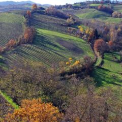 7 Highlights of an Emilia-Romagna Road Trip