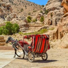 Things to Know for Visiting Petra at Night and Little Petra in Jordan