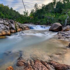 Hudut and Sere: Explore Belizean Culinary Heritage