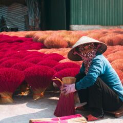 Exploring the Underwater Wonders of Vietnam: A Diver’s Paradise