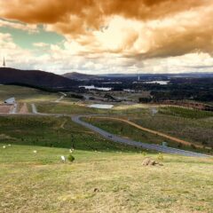 Discover the Magic of Canberra This Autumn