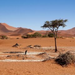 Ride Across the Wild Heart of Namibia: A Thrilling New Equestrian Adventure