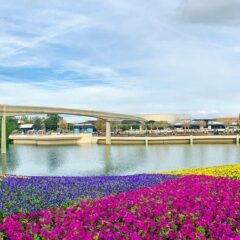 Orlando: The Ultimate Destination for Adventure, Relaxation, and Culture