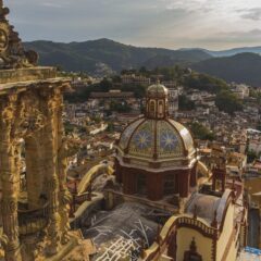 Beneath the Waves: An In-Depth Guide to Diving the Florida Panhandle