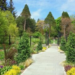 Philadelphia: A City of History, Culture, and Culinary Delights