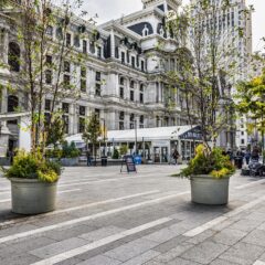 Exploring Nature: The Best National Parks Near Philadelphia