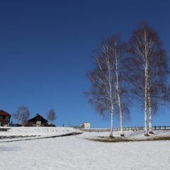 When Should You Visit Hokkaido?