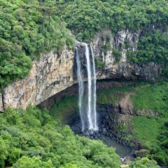 Family-Friendly Ecotourism Adventures in Mato Grosso do Sul: Nature for Every Generation