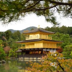 Kyoto in a Day: A Soulful Stroll Through Japan’s Cultural Heart