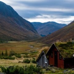 Immersing Yourself in the Wonders of Norway: A Journey Like No Other