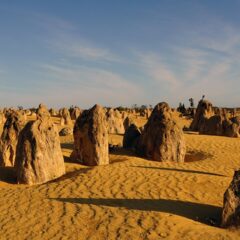 Top 10 Cairns Bus Tours & Guided Experiences