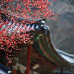 Rason and Northeast North Korea Tour