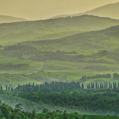 Discovering the Charm of Tuscany and the Magic of Cinque Terre