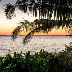 Island-Hopping in Fiji: Tips for First-Time Travelers