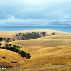 Packing Tips for the Australian Outback