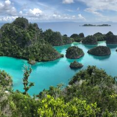 Beneath the Blue: A Complete Travel Guide to Misool, Raja Ampat’s Hidden Paradise