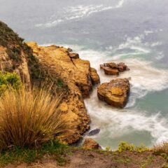 Tasmania Uncovered: A Journey Through Nature, Wildlife, and Culinary Delights