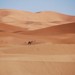 Discover the Beauty of Morocco: Cities, Desert & Culture