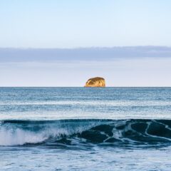 New Zealand Travel Guide: What to Know Before You Go