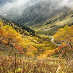 Best Places to Visit in Japan for Culture and Food