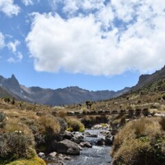 Journey into the Wild: Smart Travel Tips for Your Kenyan Safari Adventure